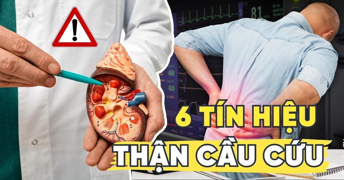 6 tín hiệu báo động thận đang gặp nguy hiểm