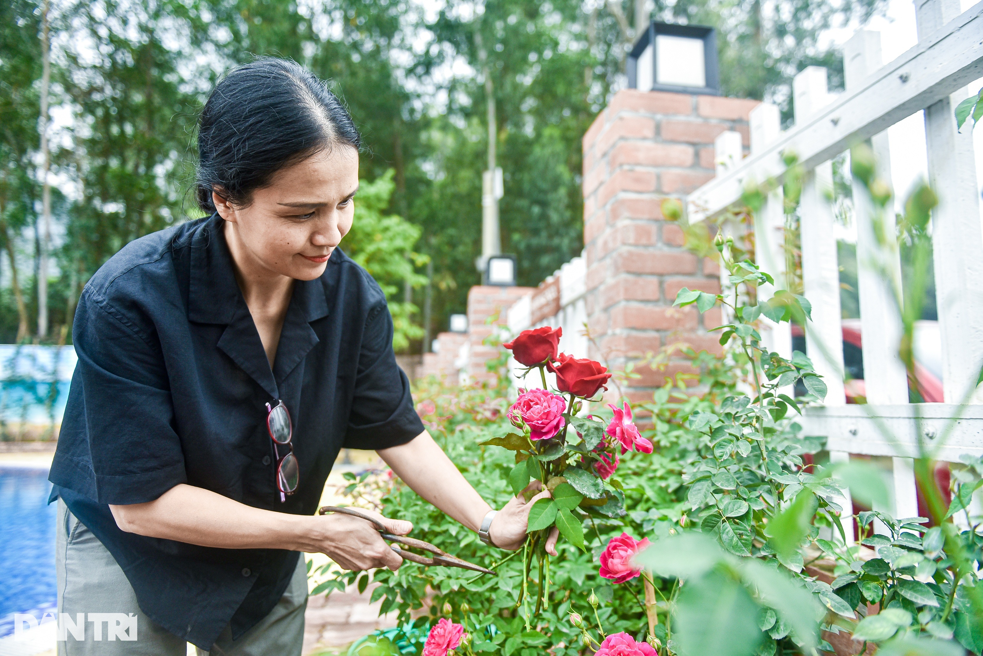 Ngôi nhà phong cách châu Âu, ngập hương hoa của nữ giáo viên Hà Nội - 5