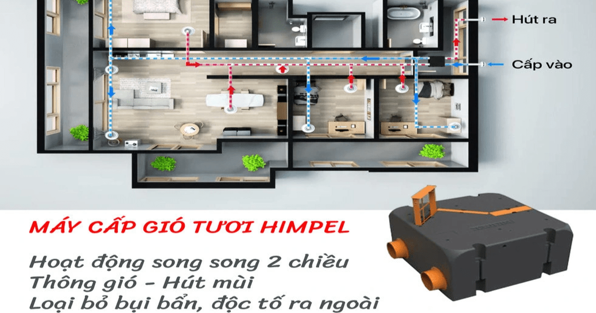 Không khí ô nhiễm, cảnh giác với các bệnh hô hấp