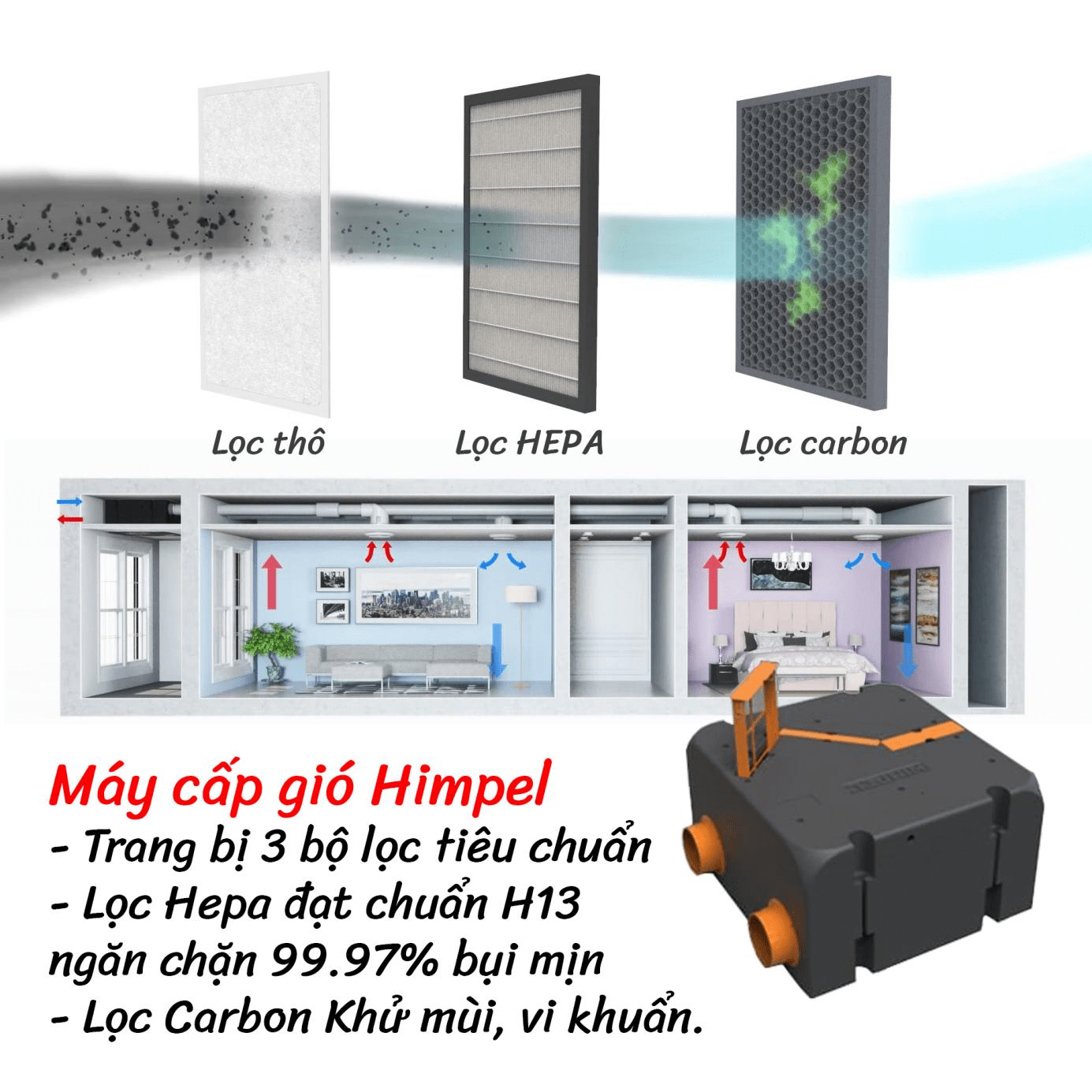 Không khí ô nhiễm, cảnh giác với các bệnh hô hấp - 4