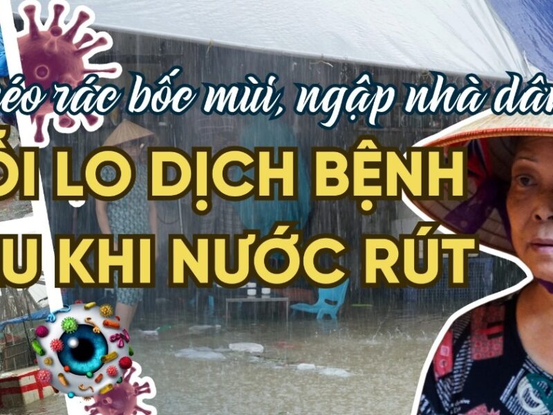 Lũ kéo xác thối, rác thải bủa vây: Người Hà Nội lo dịch bệnh khi nước rút