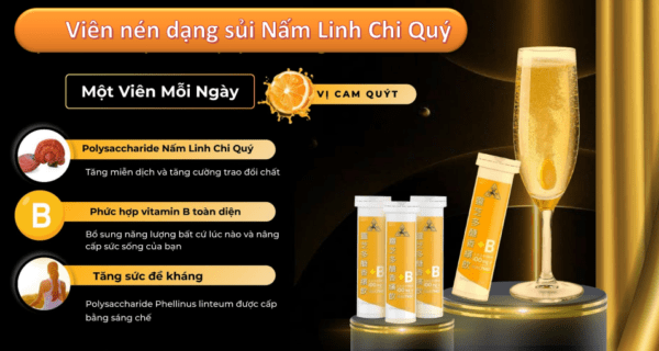 Viên Nén Dạng Sủi Nấm Linh Chi Quý